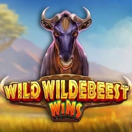 Play Wild Wildebeest Wins slot by Pragmatic Play on spinsino.eu